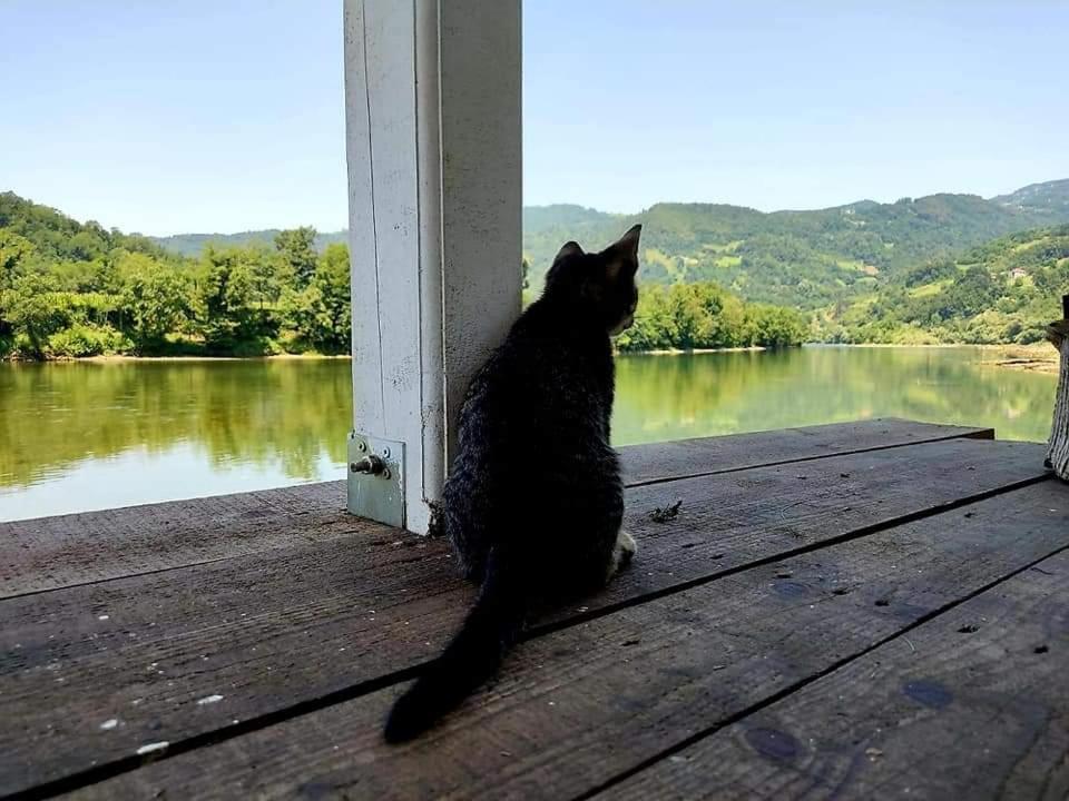 Brvnara Drina Wooden House Drina Vila Drlace Exterior foto